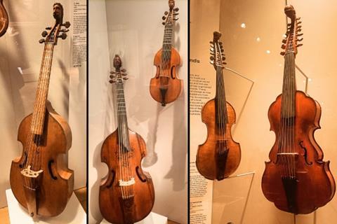 viola